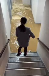 1782550800067.webm