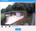 1782551523921.webm