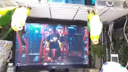 1782558703130.webm