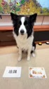 1782563675557.webm