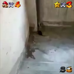 1782570357979.webm