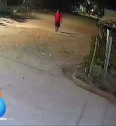 1782571206239.webm