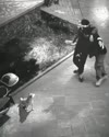 1782571771799.webm