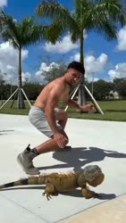 1782571937462.webm