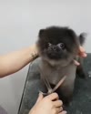1782573368025.webm