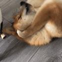 1782584303853.gif