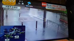 1782623844060.webm