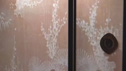 1782641513207.webm