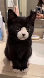 1782644518806.webm
