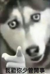 1782647575761.png
