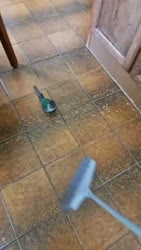 1782651099814.webm