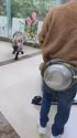 1782689509502.webm