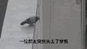 1782696834150.gif