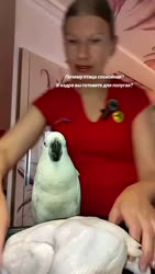 1782710440182.webm