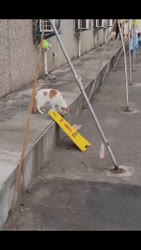 1782714836023.webm