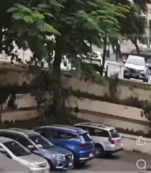 1782715324941.webm