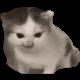 1782722577899.gif