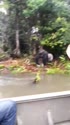 1782742857087.webm
