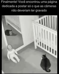 1782756998904.webm