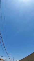 1782768484684.webm