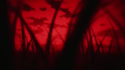 1782782660054.webm