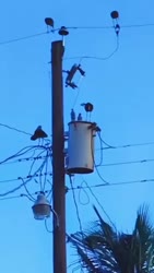 1782795178117.webm