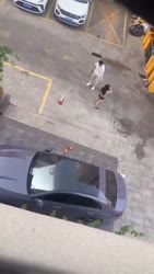 1782804056462.webm