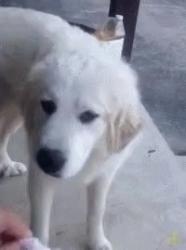 1782826408216.gif