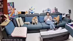 1782839132285.webm