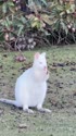 1782846753246.webm