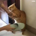 1782871718184.webm