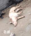 1782882553707.gif