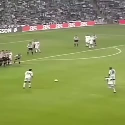 1782907438448.webm