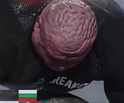 1782922007249.webm