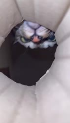 1782944678948.webm