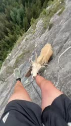1782969113547.webm