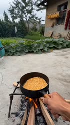 1783045429081.webm