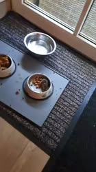1783047841057.webm