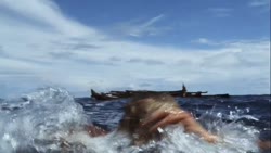 1783082545082.webm