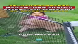 1783083704156.webm