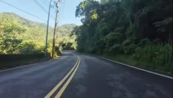 1783163013585.webm