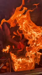 1783168507508.webm