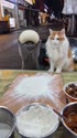 1783177142426.webm