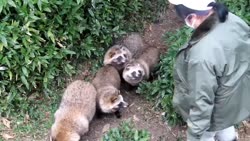 1783189413571.webm