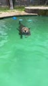 1783208668694.webm