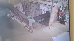 1783253281588.webm
