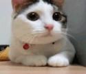 1783263200269.gif