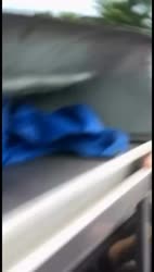 1783355894912.webm
