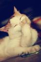 1783380514544.jpg