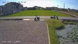 1783419536872.webm